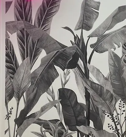 Maison Silvia * 那不勒斯