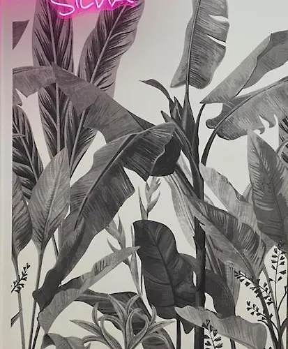 Maison Silvia * Nápoles